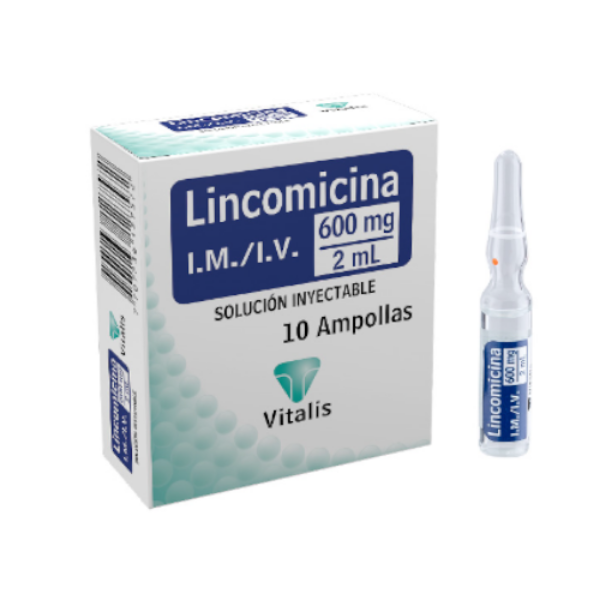 Imagen de LINCOMICINA 600Mg/2Ml CJ*10 AMP