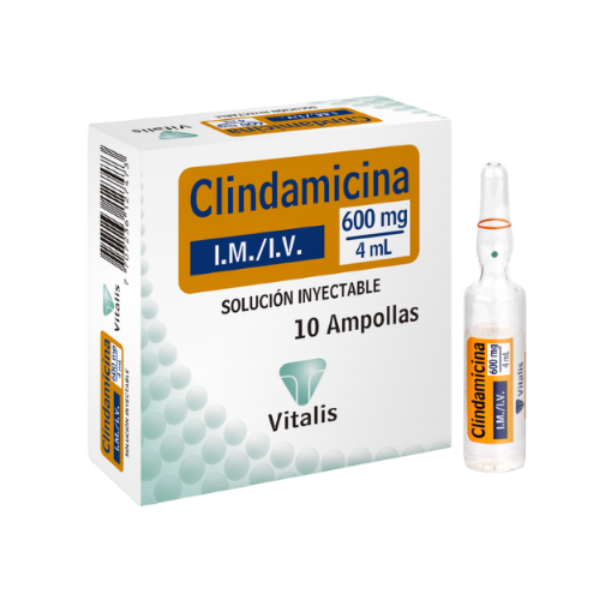 Imagen de CLINDAMICINA 600Mg/4Ml CJ*10 AMP Vitalis